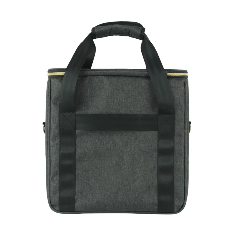 Luxury Record Bag