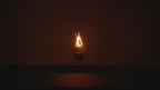 Magnetic Levitation Light Bulb Lamp